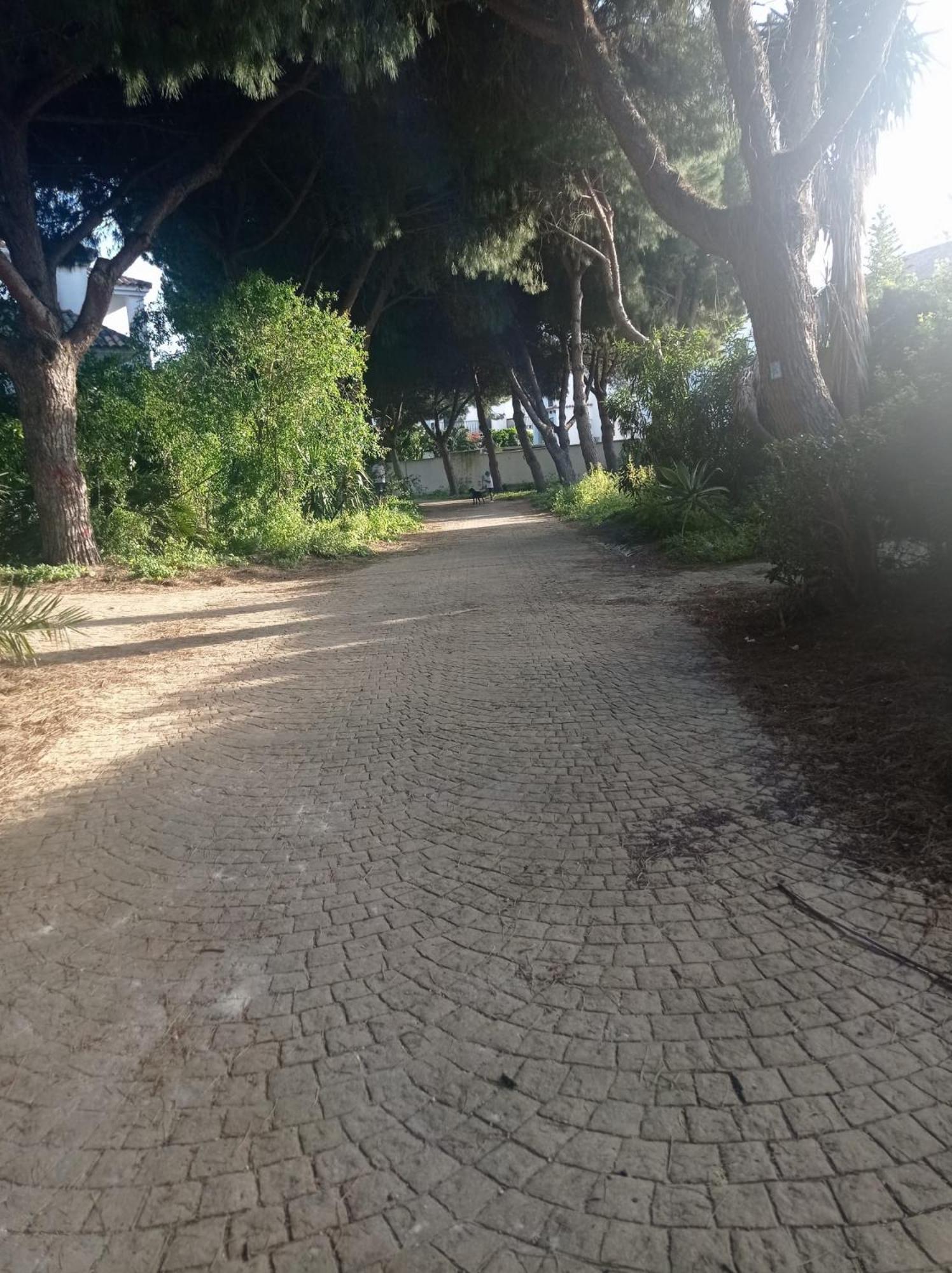 Apartamento Crucero 2, La Jara Sanlúcar de Barrameda Buitenkant foto